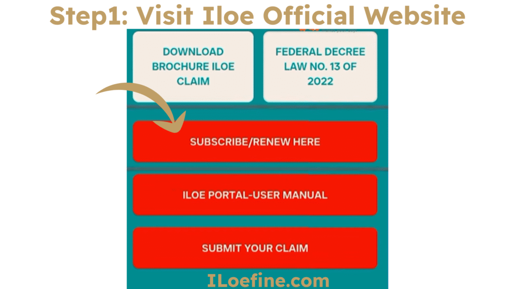 Iloe Insurance Renewal